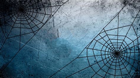 spider web background|spider web desktop background.